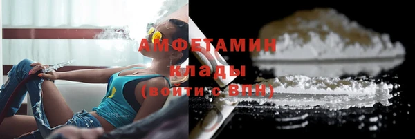твердый Аркадак
