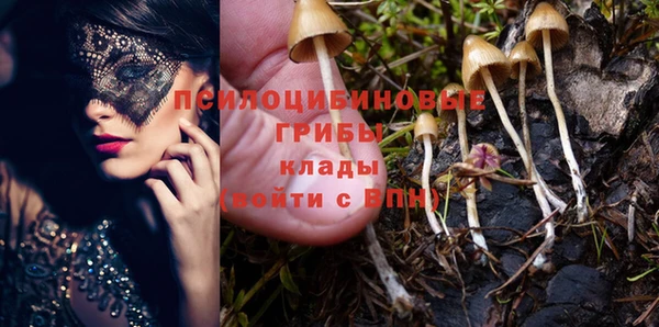 таблы Армянск